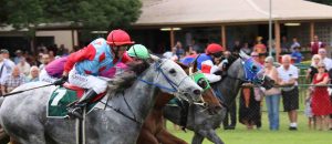 esk jockey club - at the finish post