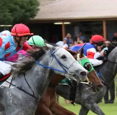 esk jockey club - at the finish post esk jockey club - at the finish post