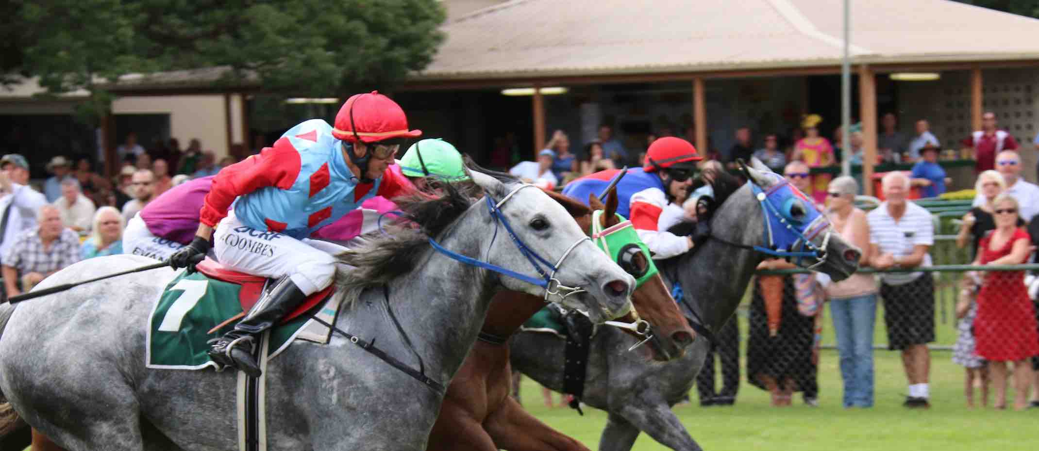 esk jockey club - at the finish post
