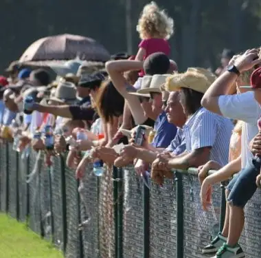 on the fence (1024x731)
