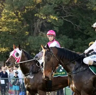 waiting for the judge (1024x668)